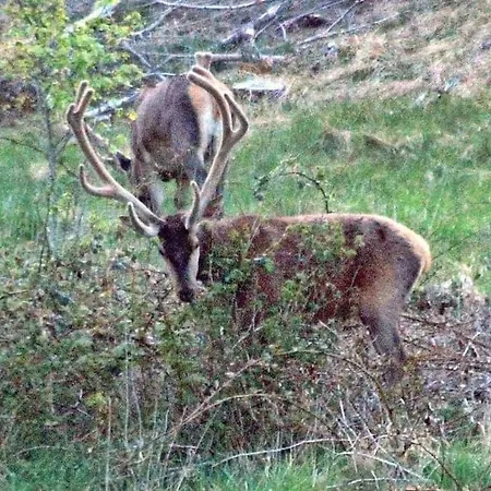 Istrup Gammel Skole Casa de hóspedes *