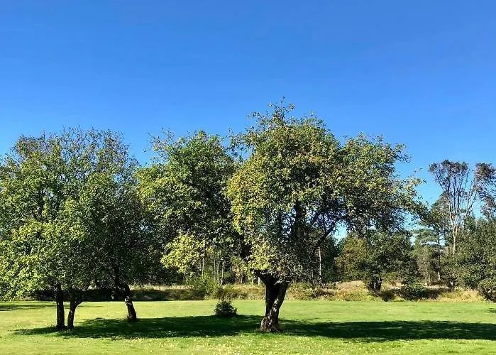 Istrup Gammel Skole *