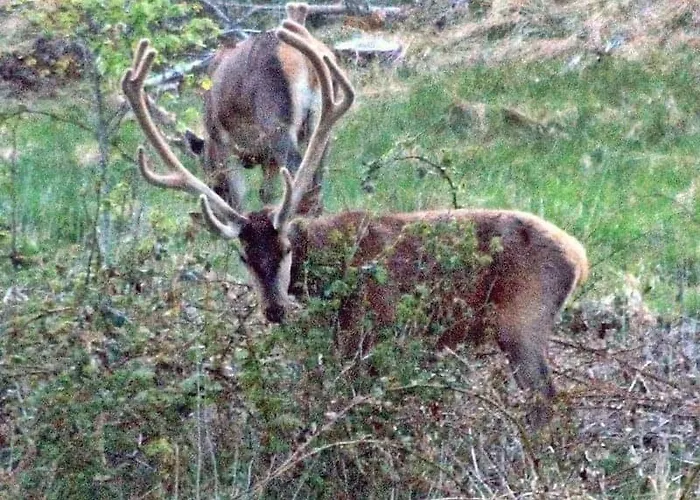 Istrup Gammel Skole Gæstehus *