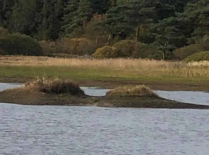 Istrup Gammel Skole *